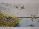 LEON DANCHIN SETTER CHASSE AUX CANARDS