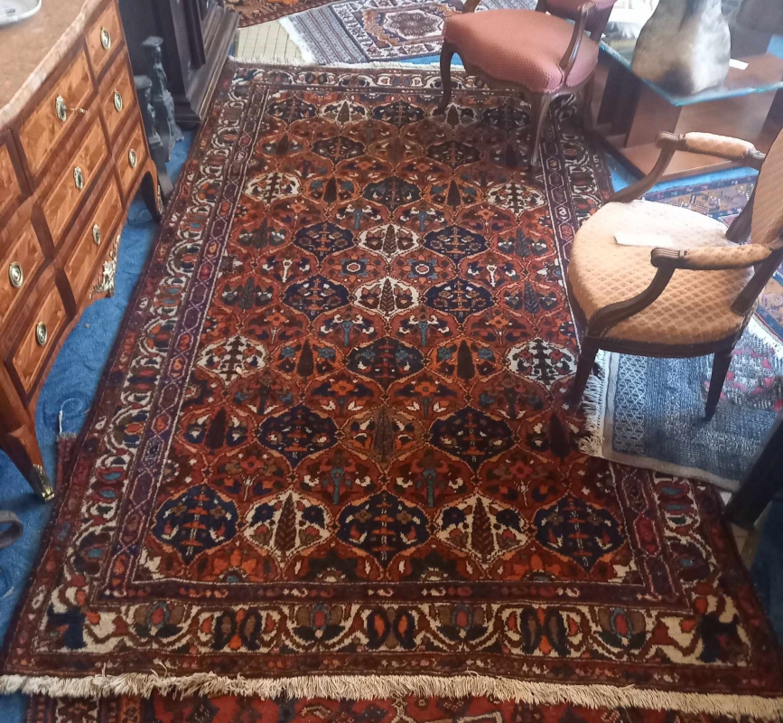 Tapis Type Bakhtiar Iran Milieu XXe